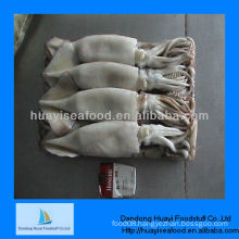 frozen squid seafood